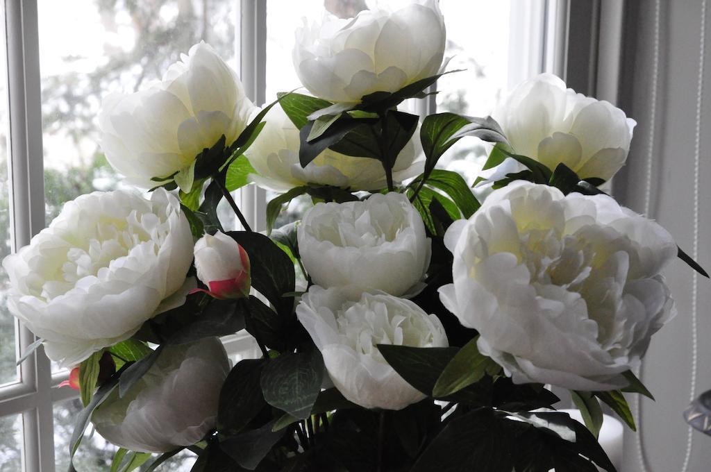 Brockamour Manor Bed And Breakfast Niagara-on-the-Lake Εξωτερικό φωτογραφία